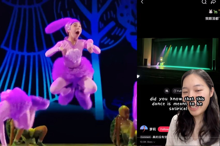 The Viral TikTok Bunny Turtle Dance, Is Actually A Satire About The Education System