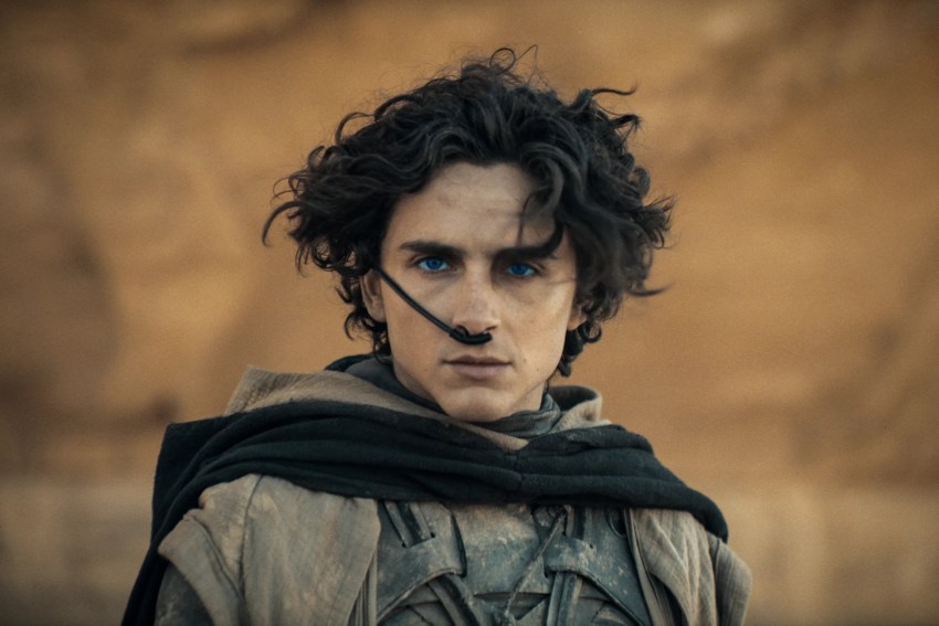 A Eulogy For Timothée Chalamet’s Hair