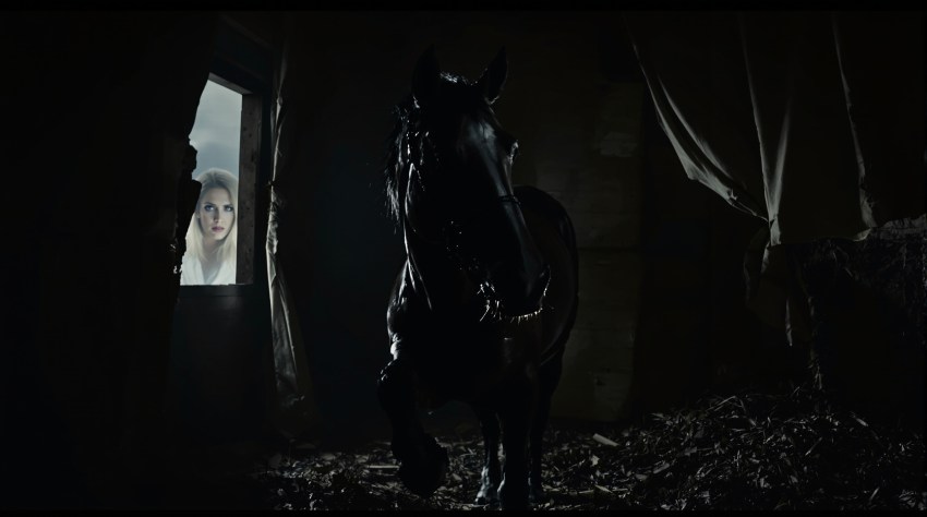 Illinois Woman Accused Of Hiding Missing Teen And Spray-Painting a Stolen Horse In Wild Police Investigation