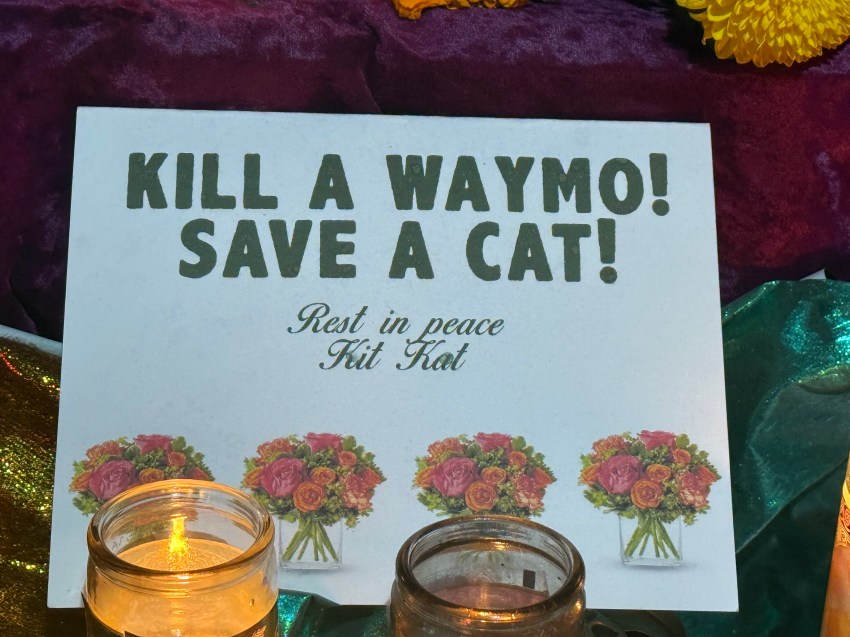 Outrage After Waymo Self-Driving Vehicle Kills San Francisco Bodega Cat KitKat – Known As The ‘16th Street Ambassador’