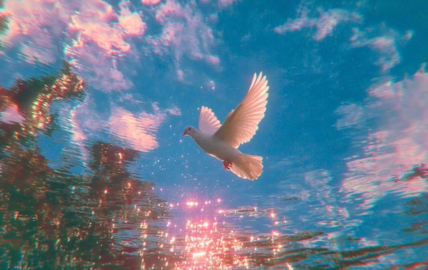 The Peace God Provides Isn’t Fleeting (It’s Forever)